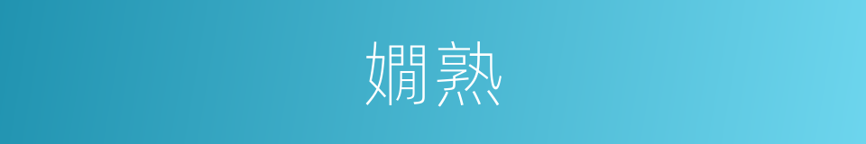 嫺熟的意思