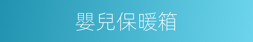 嬰兒保暖箱的同義詞