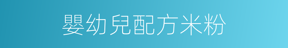 嬰幼兒配方米粉的同義詞