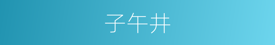 子午井的同义词