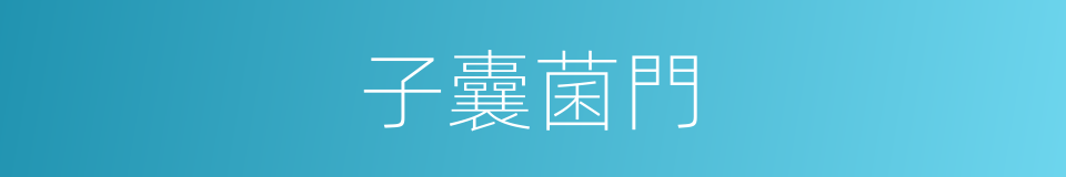 子囊菌門的同義詞