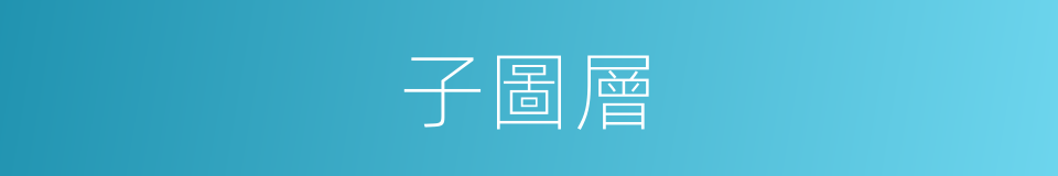 子圖層的同義詞