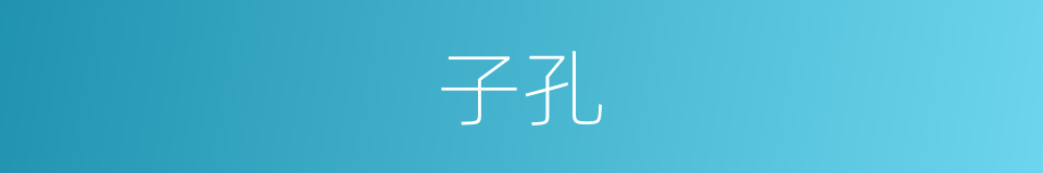 子孔的同义词