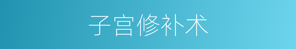 子宫修补术的同义词