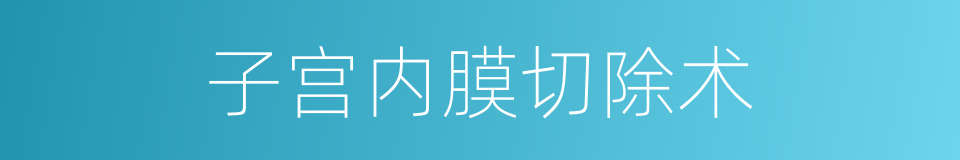 子宫内膜切除术的同义词