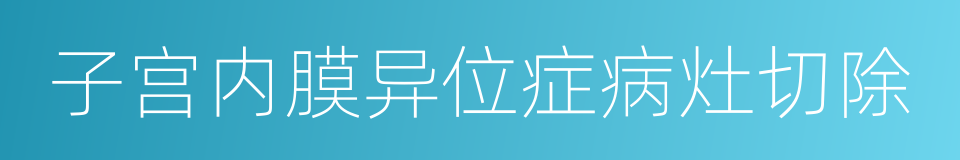 子宫内膜异位症病灶切除的同义词