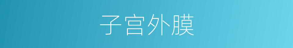 子宫外膜的同义词