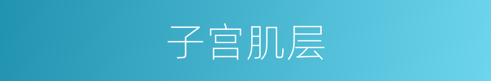 子宫肌层的意思