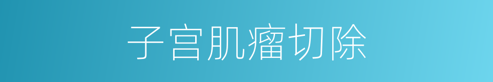子宫肌瘤切除的同义词