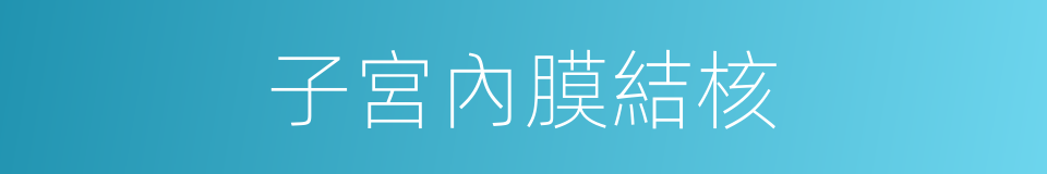 子宮內膜結核的同義詞