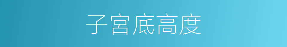 子宮底高度的同義詞