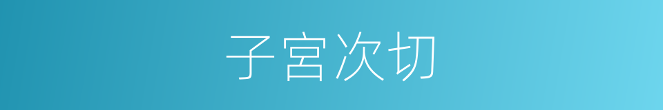 子宮次切的同義詞
