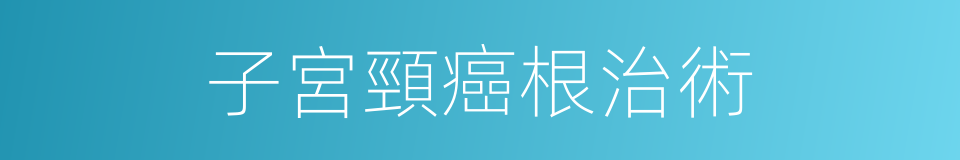 子宮頸癌根治術的同義詞