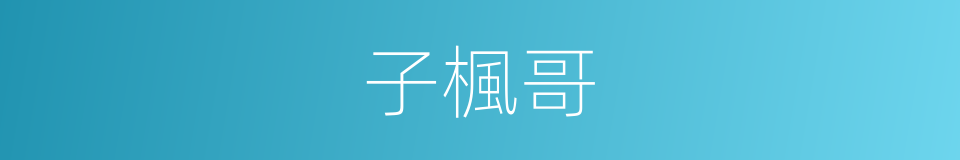 子楓哥的同義詞