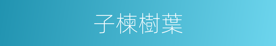 子楝樹葉的同義詞