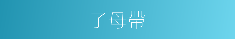 子母帶的同義詞
