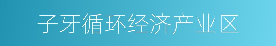 子牙循环经济产业区的同义词