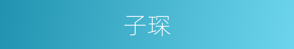 子琛的同义词