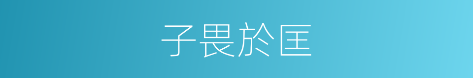 子畏於匡的同義詞