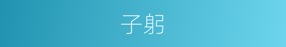 子躬的同义词