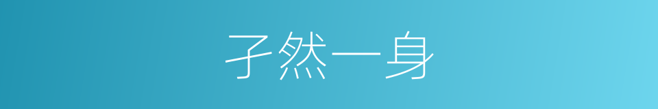 孑然一身的意思