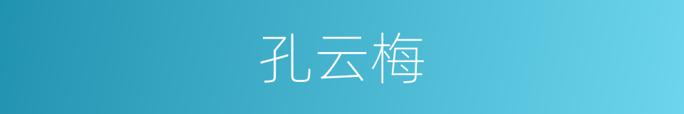 孔云梅的同义词