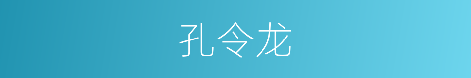 孔令龙的同义词