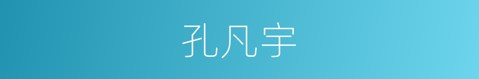 孔凡宇的同义词