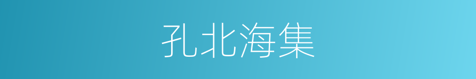 孔北海集的同义词