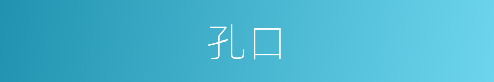 孔口的意思