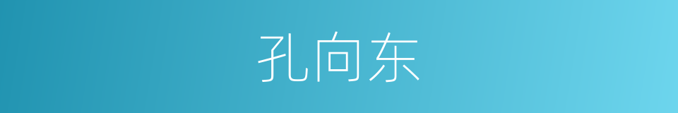 孔向东的同义词