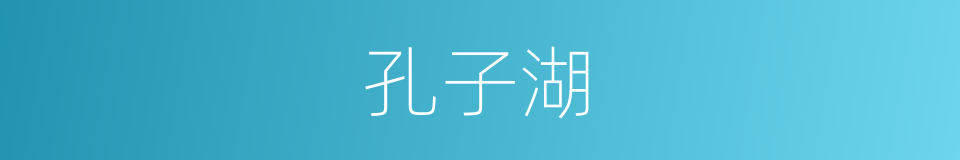 孔子湖的同义词