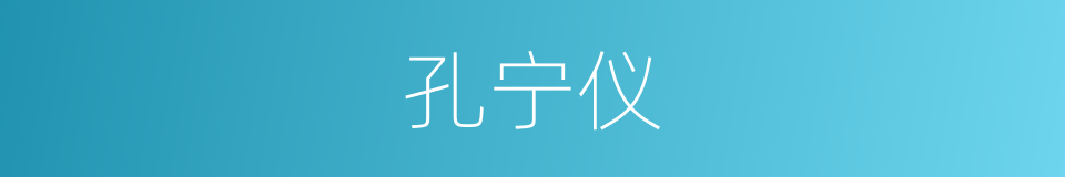 孔宁仪的同义词