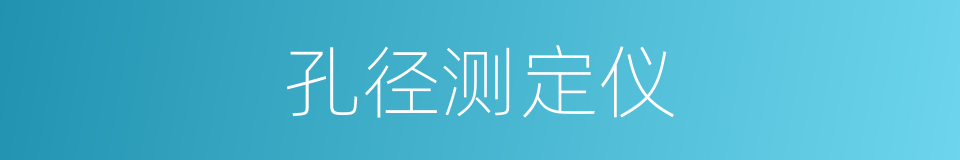 孔径测定仪的同义词