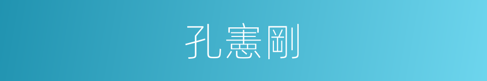 孔憲剛的同義詞