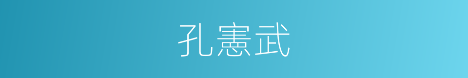 孔憲武的同義詞