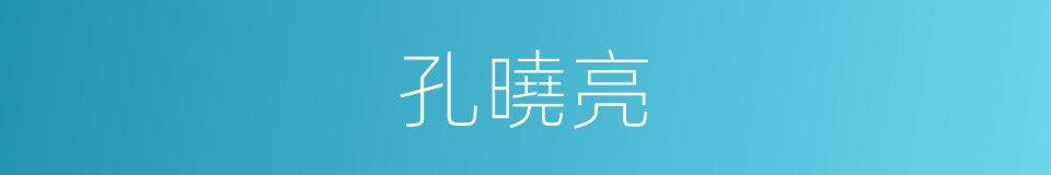 孔曉亮的同義詞