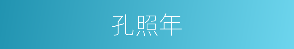 孔照年的同义词