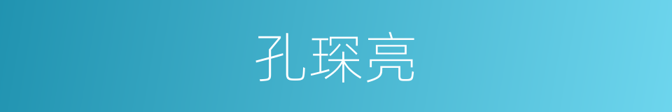 孔琛亮的同义词