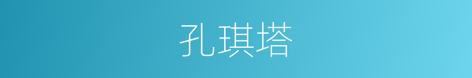 孔琪塔的同义词