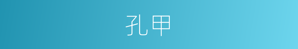 孔甲的同义词