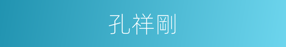 孔祥剛的同義詞