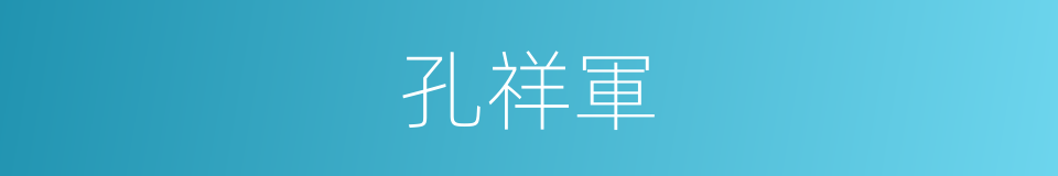 孔祥軍的同義詞