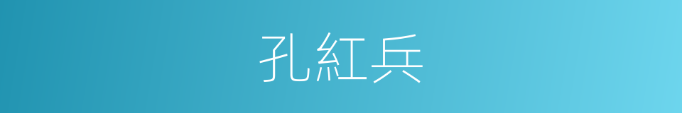 孔紅兵的同義詞