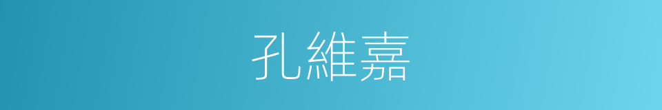 孔維嘉的同義詞