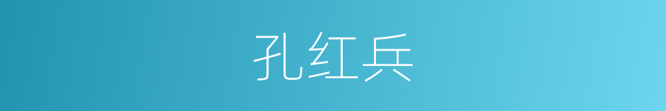 孔红兵的同义词