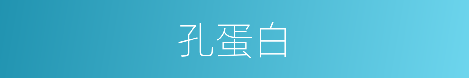 孔蛋白的同义词