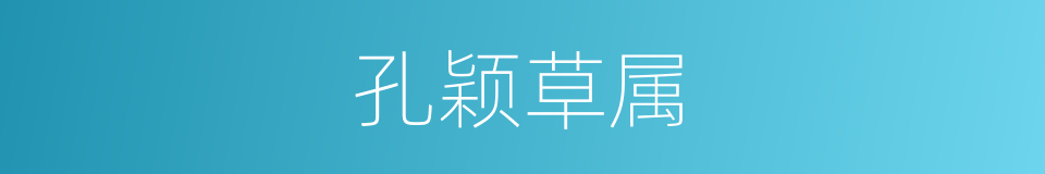 孔颖草属的同义词