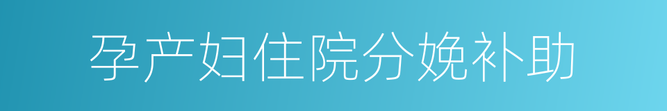 孕产妇住院分娩补助的同义词