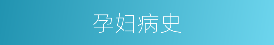 孕妇病史的同义词